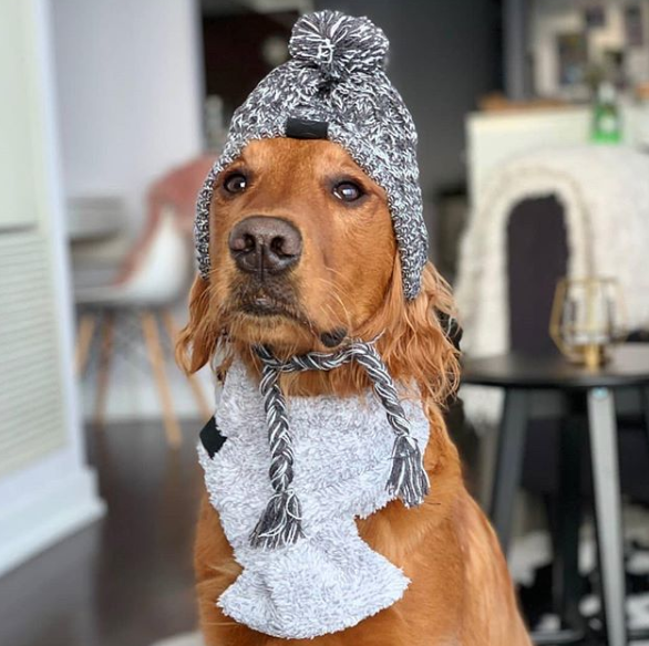 Can't crack an egg, but that face can break some hearts!!!