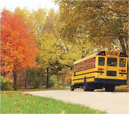 PowHER_Network's tweet photo. Here are 6 ways that embracing a back-to-school #mindset can propel you through a #successful #fall season and allow you to end the year with a bang by @RandiLevinCoach @bergencntymoms #PowHERnetwork https://t.co/RYdEhWiCeR https://t.co/1ZcM6Et4vs