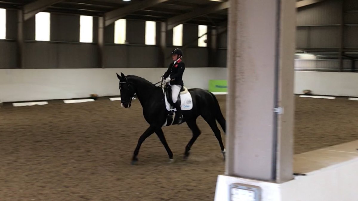🥇👊OMG..What a few weeks I’m having. I owe this Massive WIN in the <a href="/PetplanEquine/">Petplan Equine</a> Advanced Medium (able bodied)to everyone at <a href="/TallandSofE/">The Talland School of Equitation</a> <a href="/pammyhutton/">Pammy Hutton</a> and Davy for keeping him going whilst I’ve been away at the World Para swimming championships.Thank you everyone. #oncloudnine