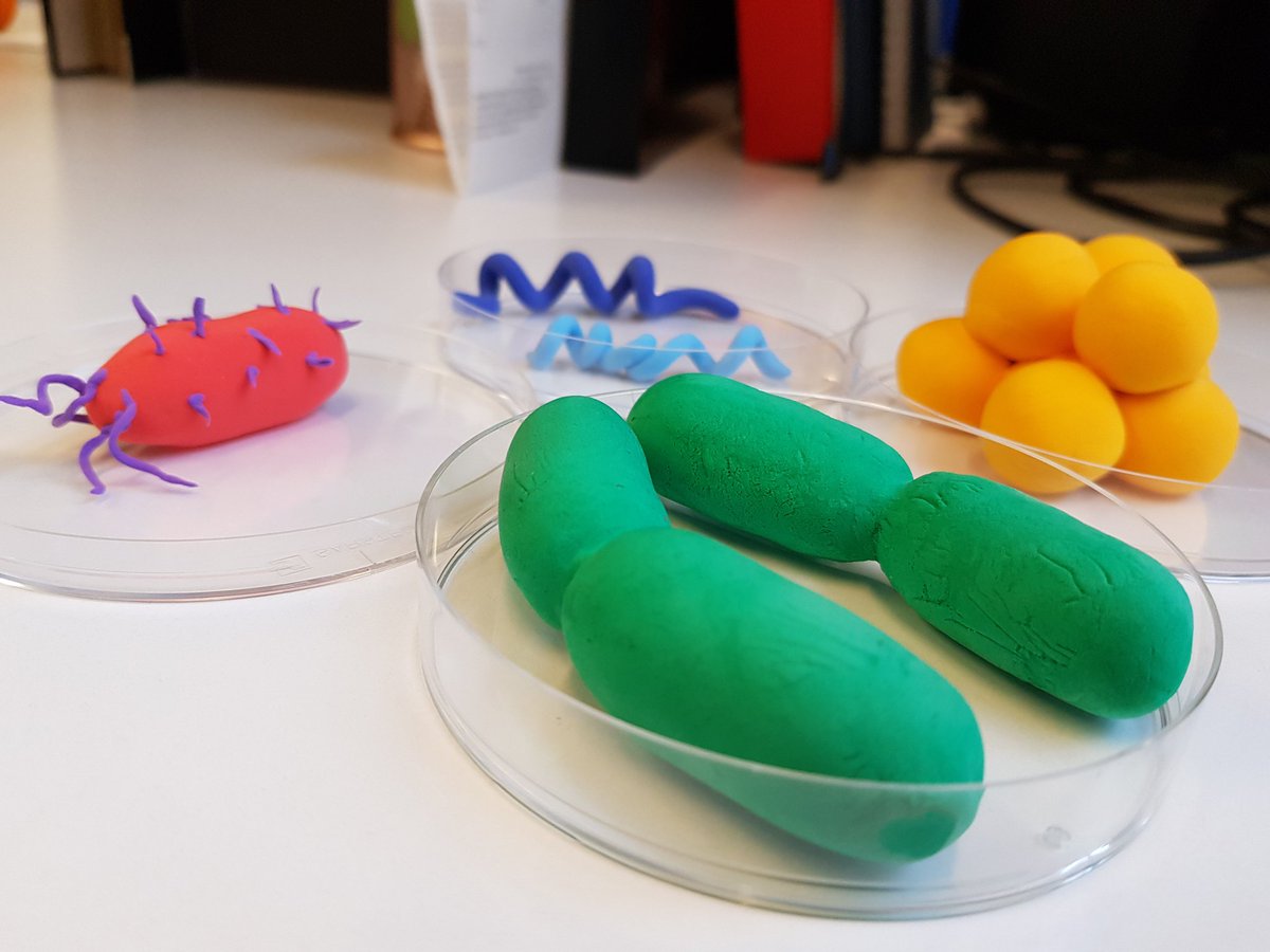 kaveetatiwari's tweet photo. Rods, cocci, and spirocehetes all decked up for @FUTURES_ERN. Come and meet them tomorrow and day after @wethecurious_ https://t.co/lZEVsnOEus
