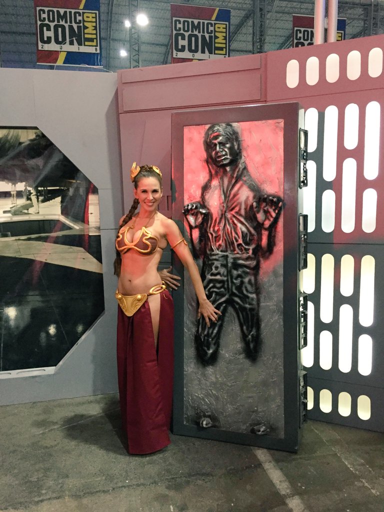 LalyGoyzueta's tweet photo. Otra fotito como #LeiaOrgana, en la #ComicConLima el año pasado!!!!! https://t.co/qi490hlW7D