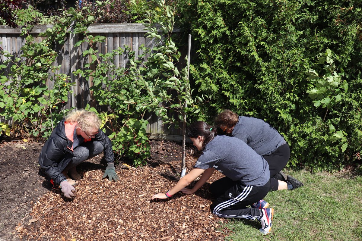 UofGStudentExp's tweet photo. Project Serve Day 2019 was a success! Over 400 students went out in our community to lend a helping hand. #UofG #ImproveLife #UofGStudentExp https://t.co/e5Y7n3UpK5