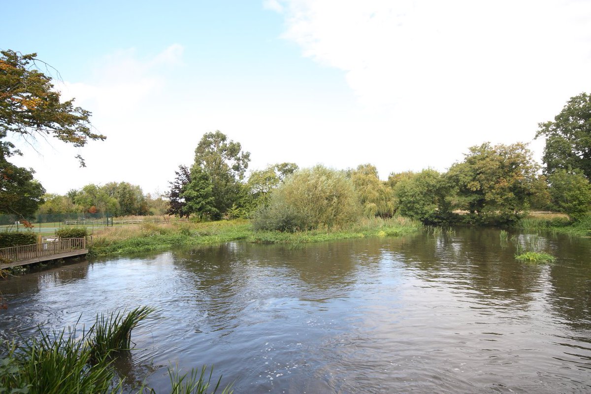 NickGriffithsUK's tweet image. I've just listed this stunning two bedroom apartment for £1300pcm. Located in a beautiful location, amongst 7 acres of grounds, it's definitely one to view. Beautiful walks on the doorstep as well as an onsite tennis court. #Woking #WokingProperty #LookForTheLogo #WeLoveWoking