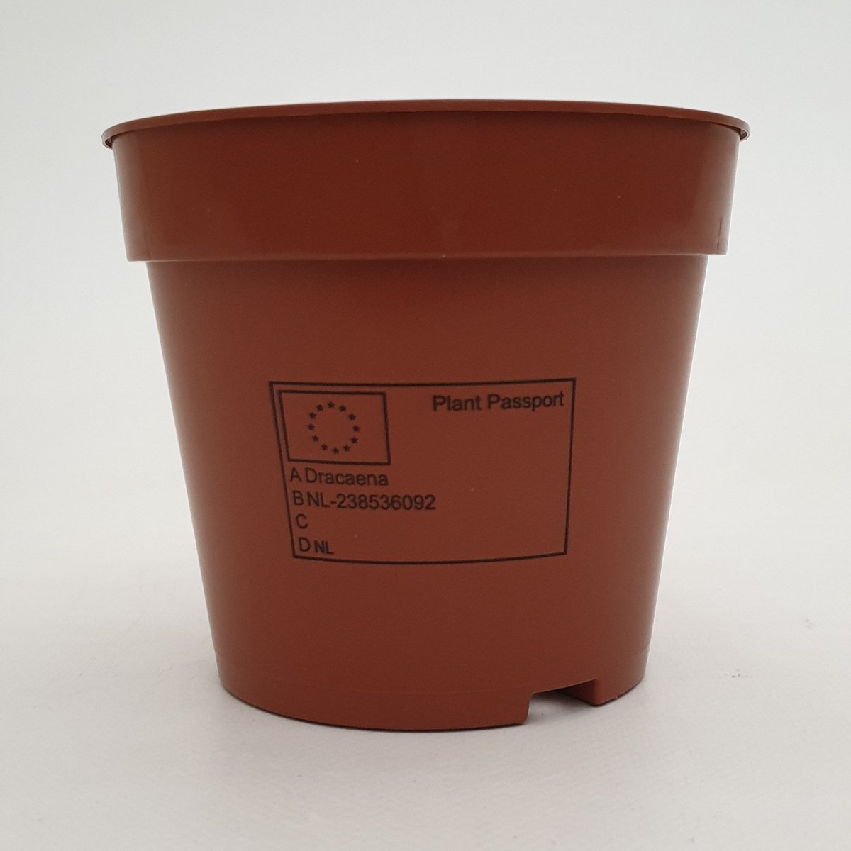 dragontree_nl's tweet photo. Vanaf vandaag worden alle #Dracaena opgepot in een pot met het #plantpaspoort erop. Het is een eis van de #eu en verplicht vanaf 14 december! Toegevoegde kosten ipv toegevoegde waarde helaas. https://t.co/0HxIof3ey5