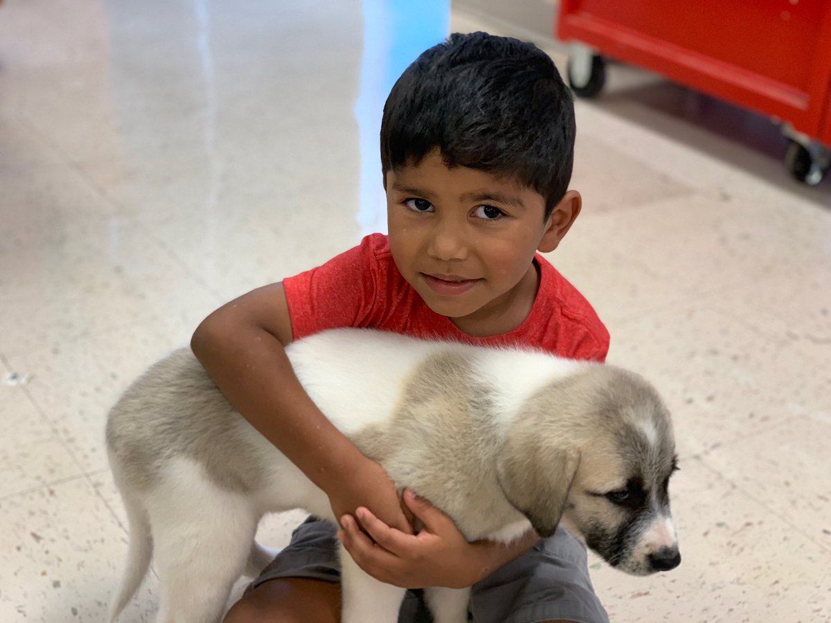 RCPS_EarlyLearn's tweet photo. Preschool took a in-house field trip to the Small Animal Care Department at RCA.
#puppies #Rcarocks #worldclassteachers #wholetthedogsout https://t.co/6harJbDMkz