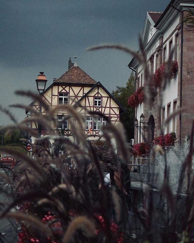 📷 @manon_aimelavie
Sélection <a href="/unefillenalsace/">Céline #UneFilleEnAlsace</a> - - - - - -
Le ciel est menaçant, tout comme mon humeur 🙄
.
#riquewihr #alsace #alsacemylove #welovealsace #visitalsace #grandest #grandestnotreregion #grandest_focus_on #france #super_france #hello_france #igers_france #ig_franc…