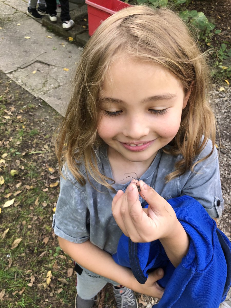 Observation and noticing <a href="/Wahkeena/">Wahkeena</a> ⁦<a href="/BexleyMontrose/">Montrose Elementary</a>⁩ #bexleybold