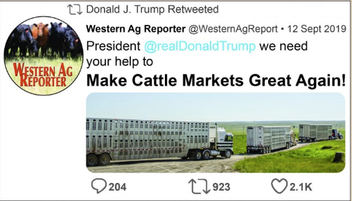 ProCattlemag's tweet image. Join @WesternAgReport in their #FairCattleMarkets campaign. Learn more here. 
ow.ly/lALg50wsqY0 #beef #cattle #cows #ranchlife #ProCattle