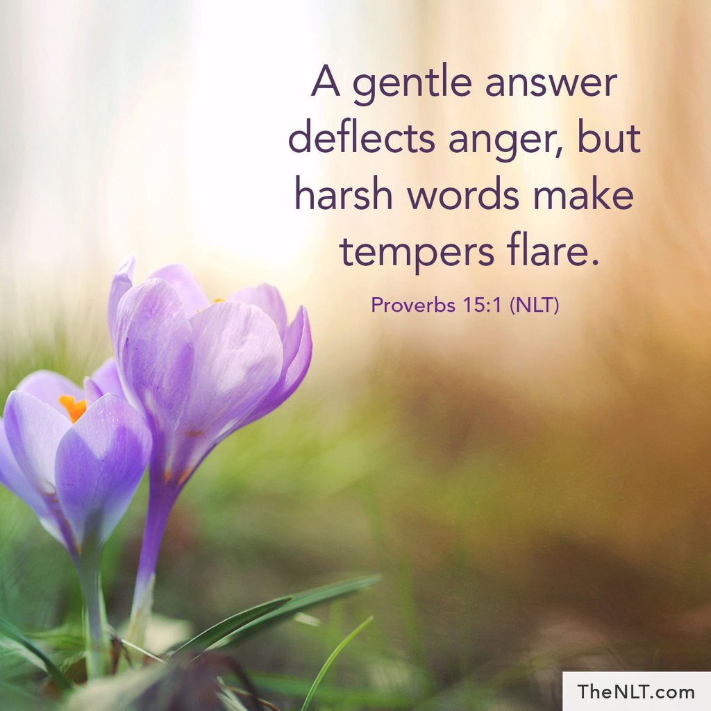 Twitter 上的NLT Bible Verse：""A gentle answer deflects anger, but harsh words  make tempers flare." Proverbs 15:1, NLT #ReadTheNLT #Proverbs #Wisdom  #Gentle #NoHarshWords https://t.co/lMUMvv972S" / Twitter
