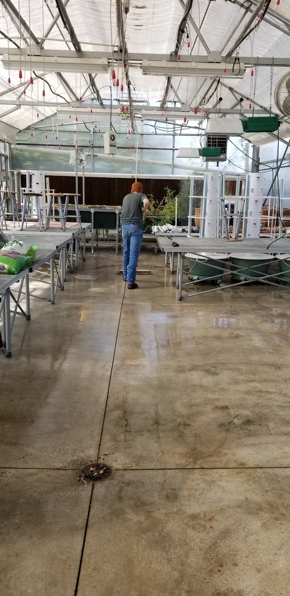 We are almost ready to start planting!  I am so proud of their hard work cleaning and organizing!  We will be planting herbs and flowers in the grower towers next week!  #plantandsoil #emporiaproud