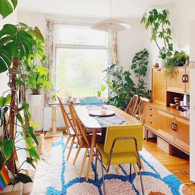 Some of you may remember watching jack &amp; I over on stories a week or so ago carting a VERY large plant around in a wheelbarrow {saw someone giving her away *she’s called Gloria &amp; is over 50 years old* on a local FB page}. Anyway, as you can see she fits … ift.tt/2n1k8qy