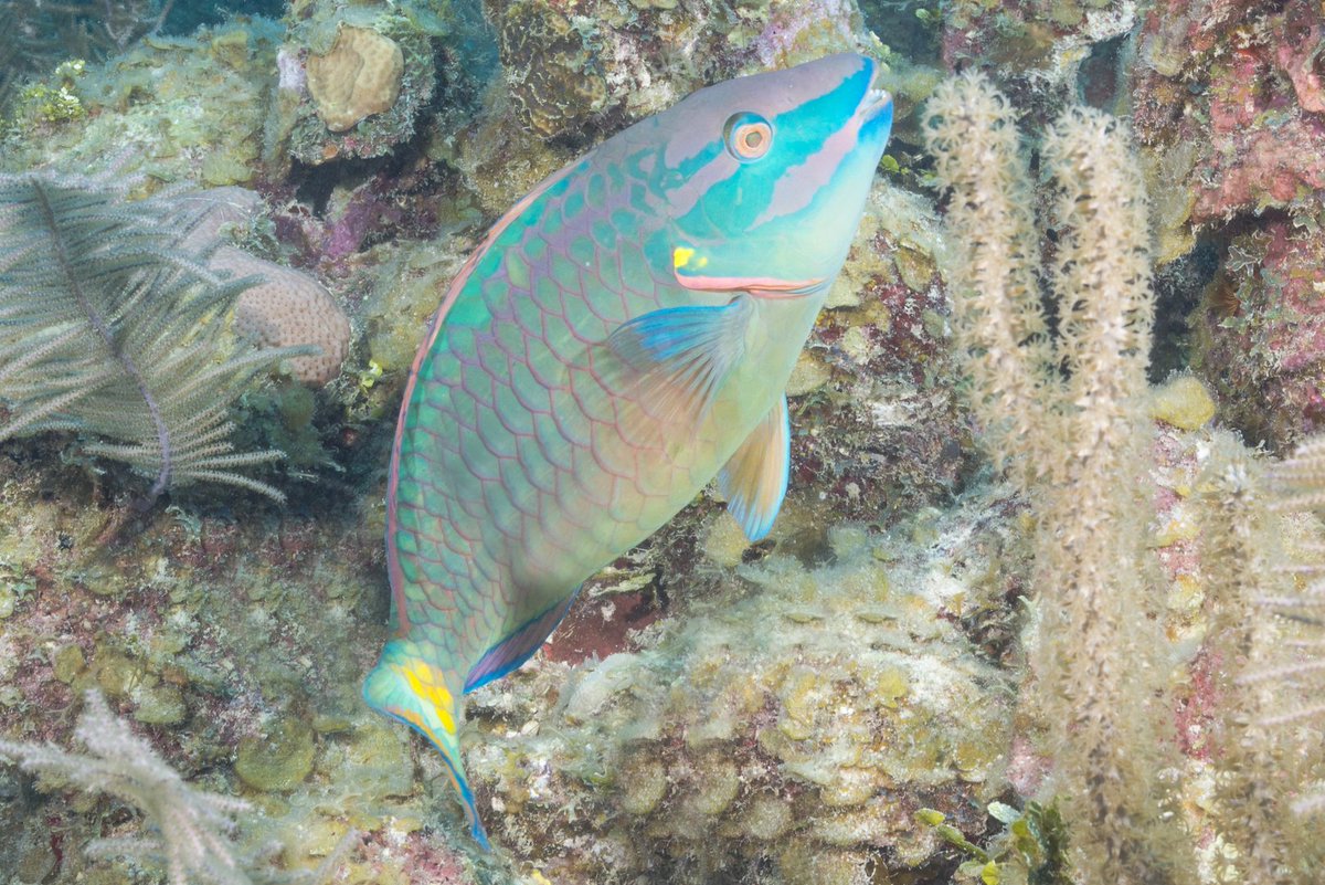 Ocean First Education tweet media