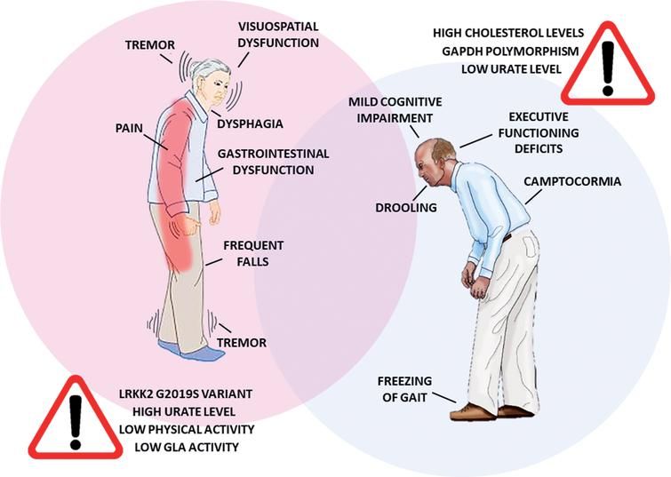 Does PD differ in women and men? Check out this review on the topic.

content.iospress.com/articles/journ…