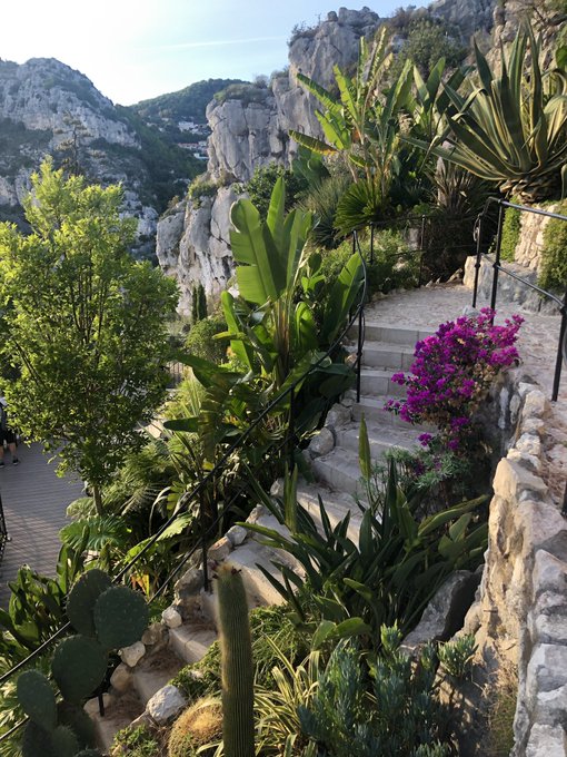 VisitCotedazur's tweet photo. #Bonplan : l'entrée au Jardin exotique d'#Eze est incluse dans notre pass touristque : la #CotedAzurCard ! ➡ https://t.co/aymPEF6qxe
📷 @photovoyages #CotedAzurFrance @Eze_Tourisme https://t.co/9XJaLf6kH9