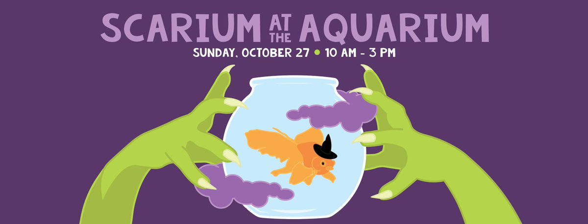 Its that time of year! #scarium #halloween #trickortreat