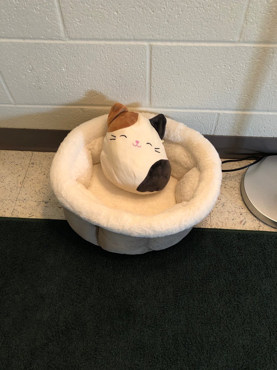 Blown away by the thoughtfulness of <a href="/MrsClevenger/">Megan Clevenger</a>, my son’s teacher! She brought a bed for her classroom for his stuffed cat (his anxiety buddy).  Not because he was disruptive with it but because she knew it would make my son happy!  So kind! #ashlandsoar