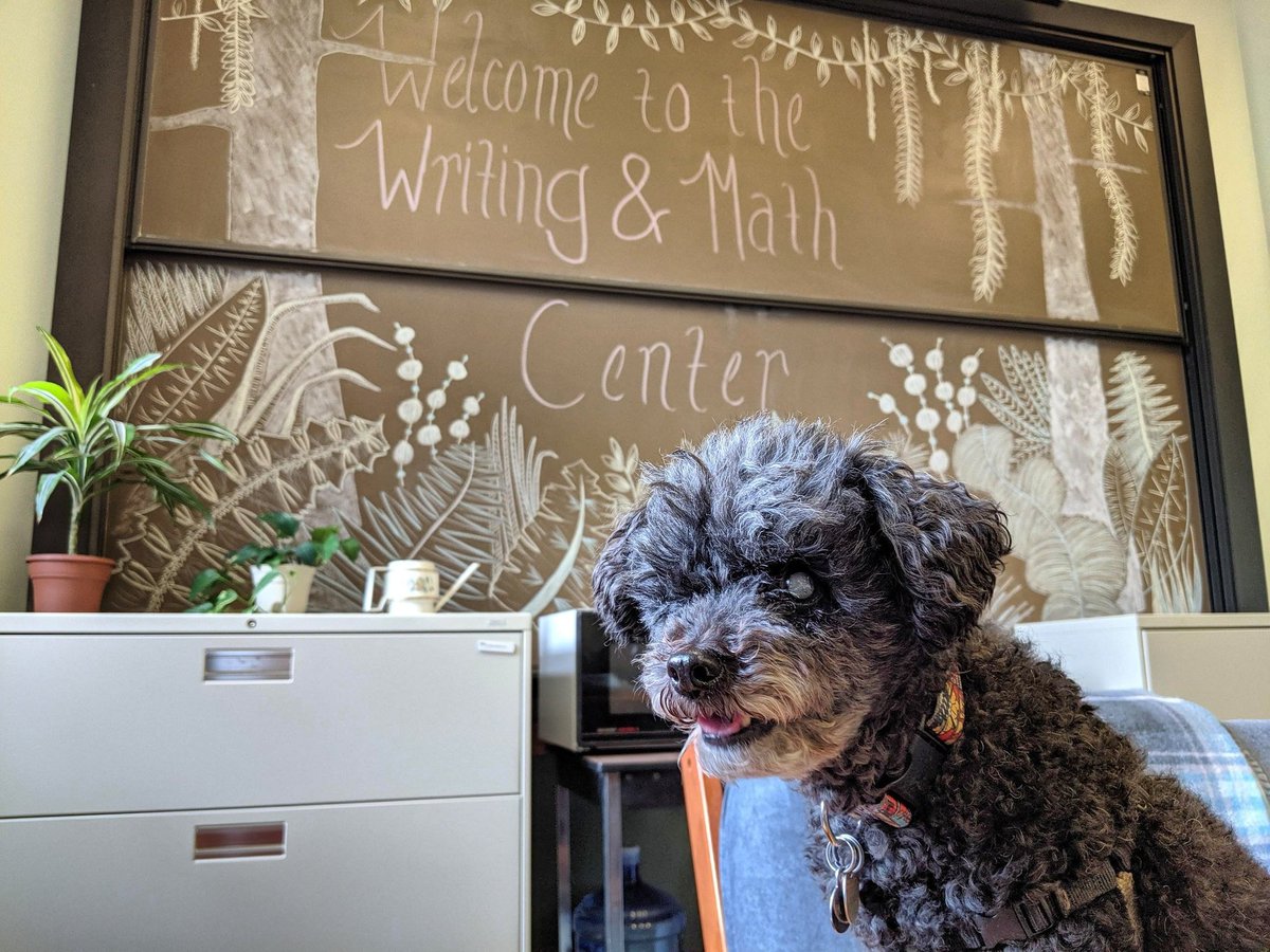 We have a friend in the center today! Come visit!