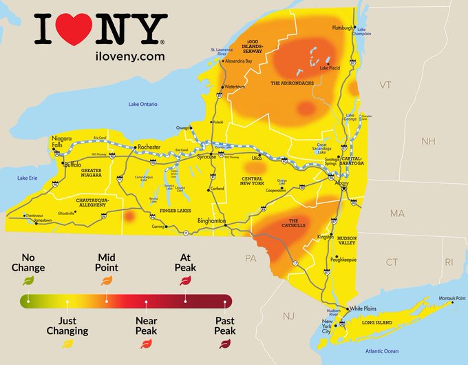 NYSDOT's tweet photo. The leaves are starting to change in the #Adirondacks &amp; #Catskills. 🍃🍂🍃

What's the best way to leaf-peep? By traveling along one of our beautiful Scenic Byways, of course!

Plan your trip today: https://t.co/XPNTVQdBB7 https://t.co/wr5MX9WCkb