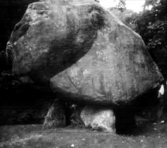 David S Vingman tweet media