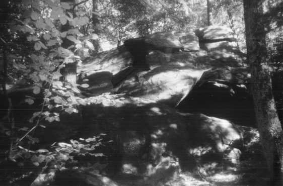 David S Vingman tweet media