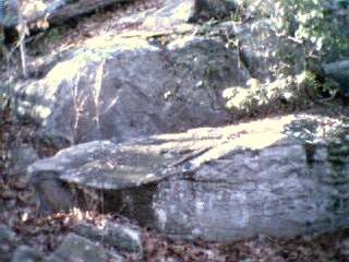 David S Vingman tweet media