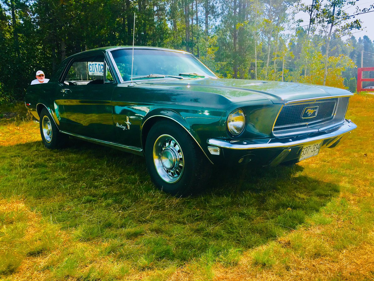 urduecksalesguy's tweet photo. 2019 #Skeena #Valley #Fall #Fair #Annual #Classic #Car #Show #Koolest #Ford #Award: 1968 #Ford #Mustang at #TerraceBc! #Just_Du_eck! @urduecksalesgi1 @TedandBecky @bryans_cars @kmandei3 @OldSchRides @wildbillphoto #ClassicCars #FordCanada #FordMustang https://t.co/iYhwJzf8qW