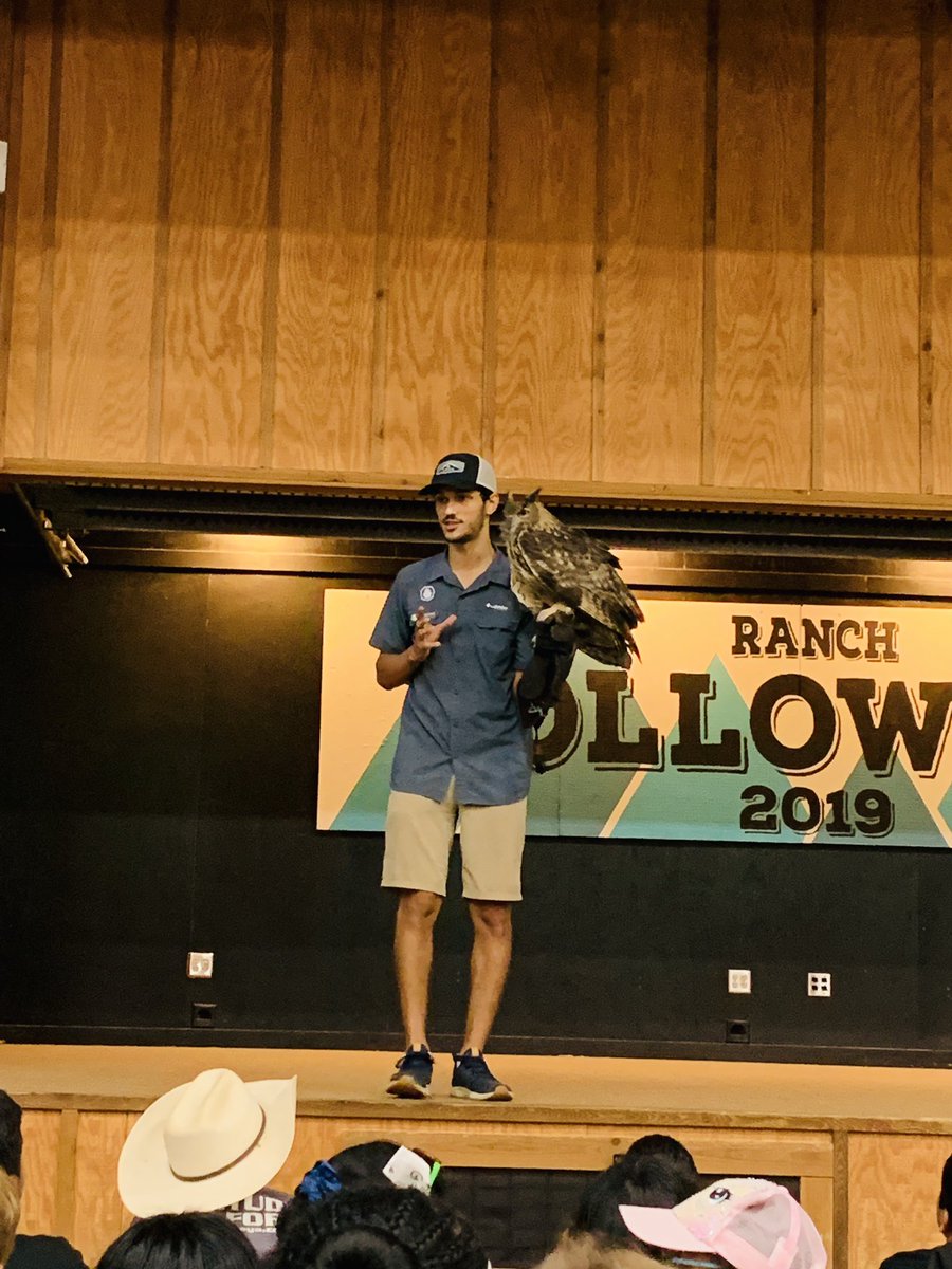 L Matias tweet media