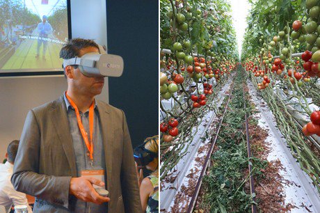 “Goed op 6 houden en ruim genoeg telen, dat is de mooiste manier van telen”
groentennieuws.nl/article/914770…