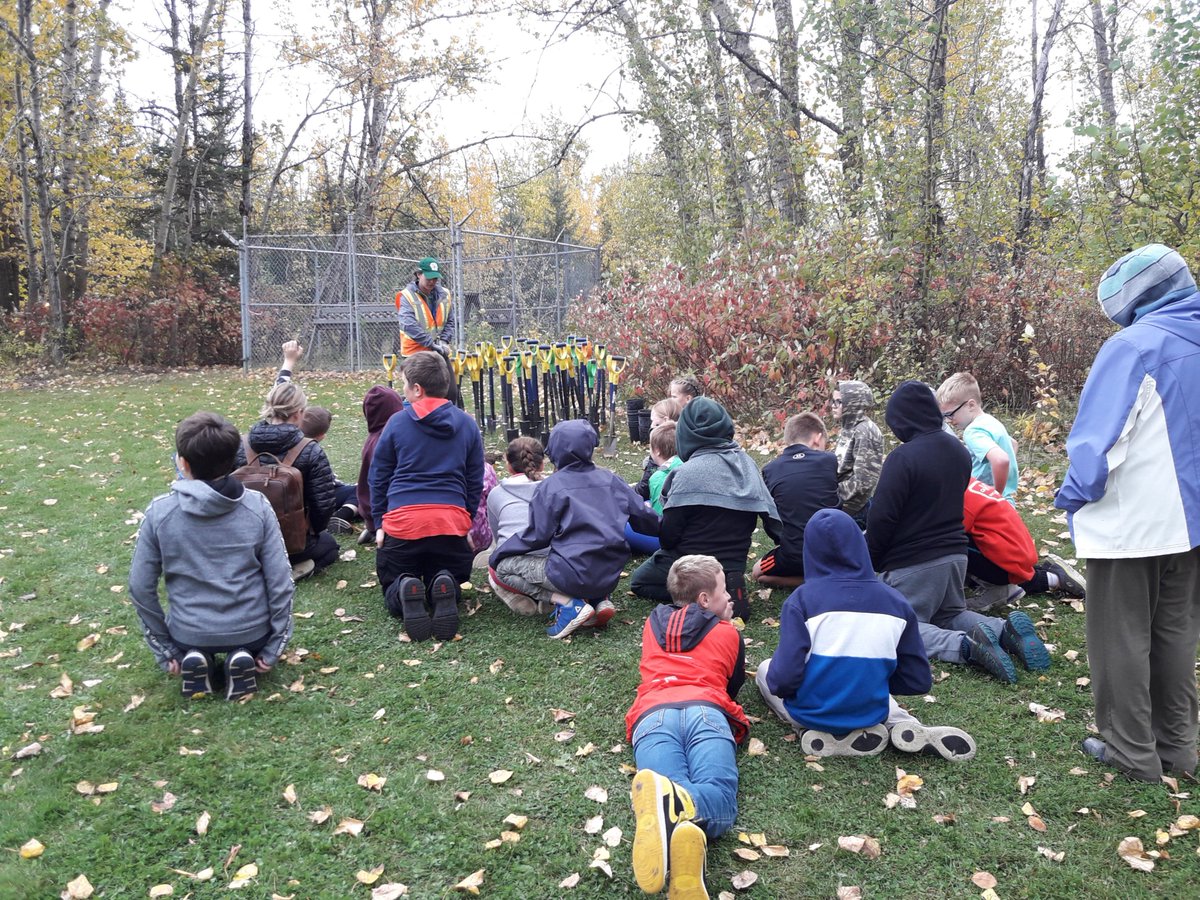 yegparks's tweet image. Yesterday some volunteers and Grade 6 students celebrated #NationalTreeDay with #RootforTrees and we’d like to thank everyone who watched the forestry demonstrations, learned about Edmonton Area Land Trust and Integrated Pest Management, and of course planted some trees!