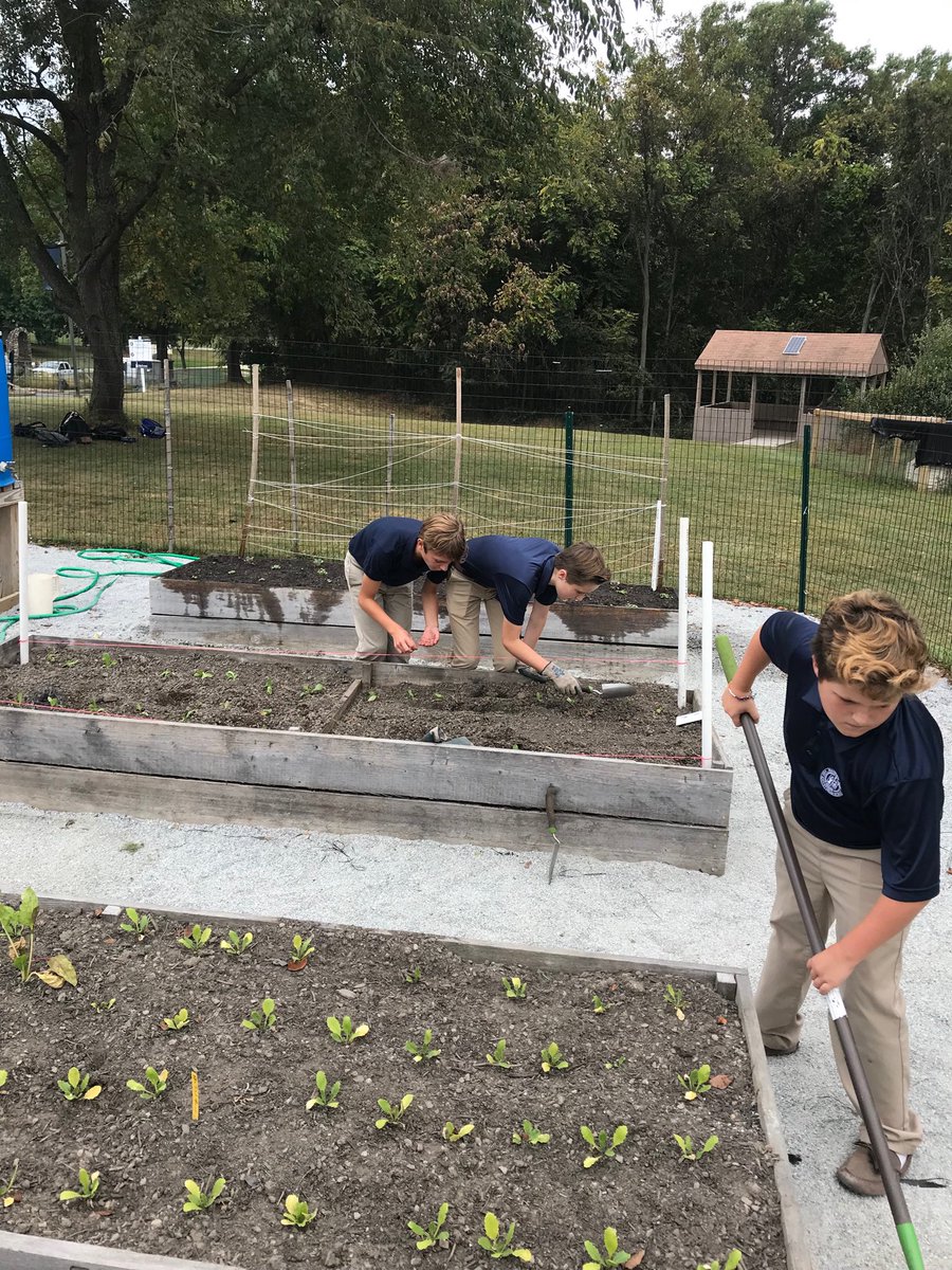 Mrs_Tyoe's tweet photo. Great day out in ⁦@MalvernPrep⁩ Garden Grove! Watering, laying down gravel and working on repairing the shed! https://t.co/xga03piNib