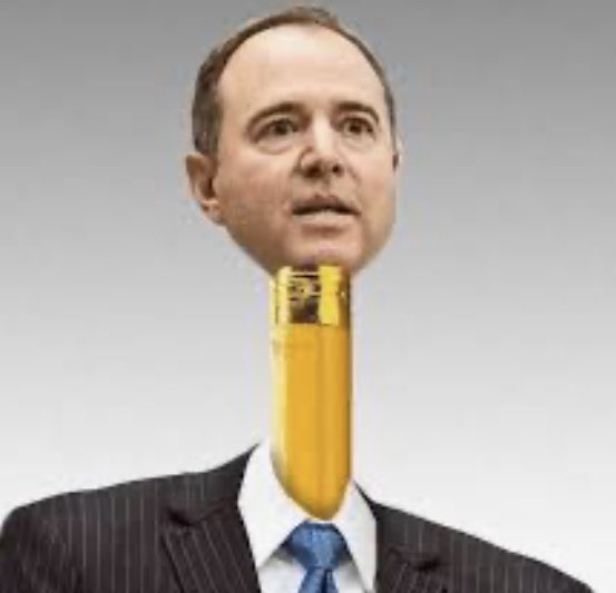 wilsonee's tweet image. Dopey Democrats on the #LackOfIntelligence Committee keep saying there was no transparency by this administration, meanwhile the #transcripts of the phone call were released as was the #WhistleblowerComplaint! Democrats lie! #Whistleblower