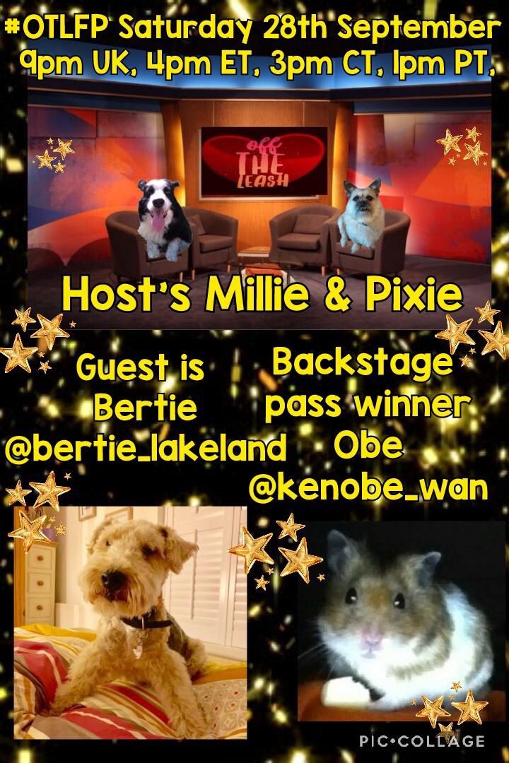 Offtheleashfp Rip Brody Join Us This Sat 9 28 For Otlfp A Twitter Chat About Pets By Pets Special Guest Bertie Bertie Lakeland Backstage Pass Winner Obe Kenobe Wan Hosts Offtheleashfp Rip Brody Join Us This Sat 9 28 For Otlfp A Twitter Chat About Pets By Pets Special Guest Bertie Bertie Lakeland Backstage Pass Winner Obe Kenobe Wan Hosts