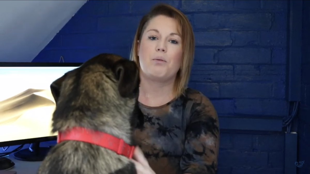 techiemum88's tweet photo. When you’re trying to film a video about being an older person learning programming and someone wants some air time
#codingdog #dogsintech #WomenInSTEM #WomeninBusiness #WomenInScience #WomeninTechChat #womenintech #GirlsWhoCode https://t.co/6WK60ztMcj