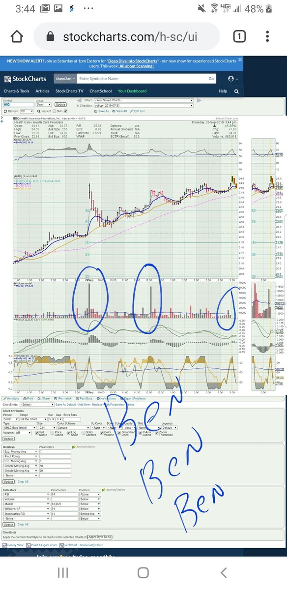SpikesViagra's tweet photo. @PatternProfits  asking for a friend who plays with #VVS you know why "LISA ANN" been playing with $HIIQ https://t.co/8dV9r46aJT