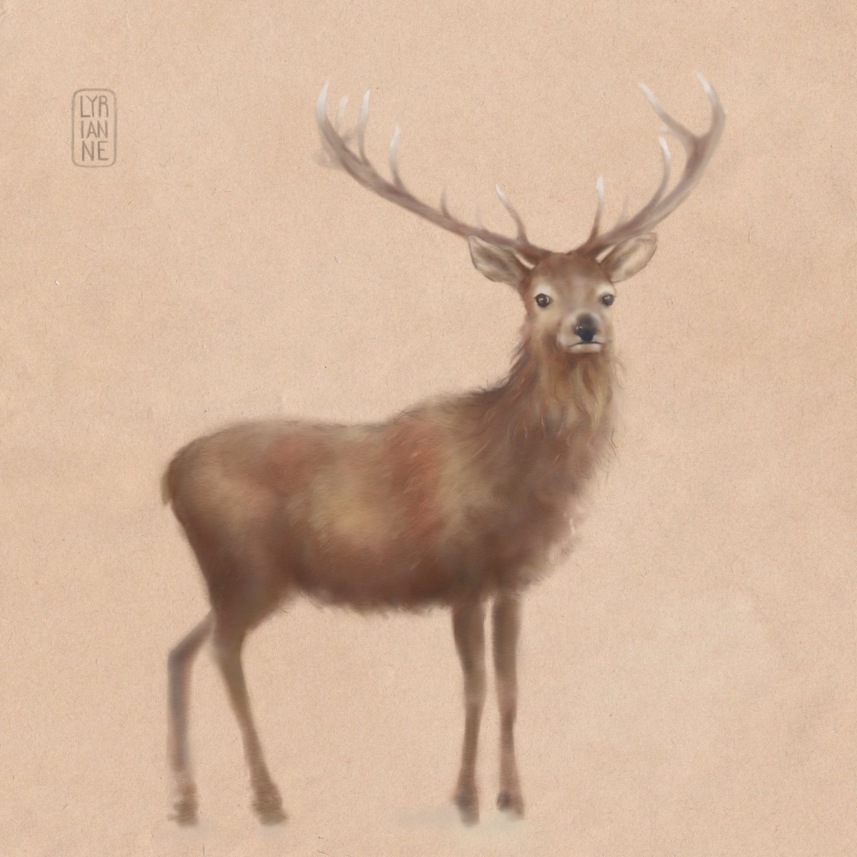 A doe, a deer...🙏💖

#stag #deer #buck #art #digitalart #artistsontwitter #art #painting #drawing #digitalpainting #sketch #animals #nature #wildlife #naturelovers #autumn #fall #winter #wildlifeillustration #illustration #illustrations #Illustrator #wildlifepainting