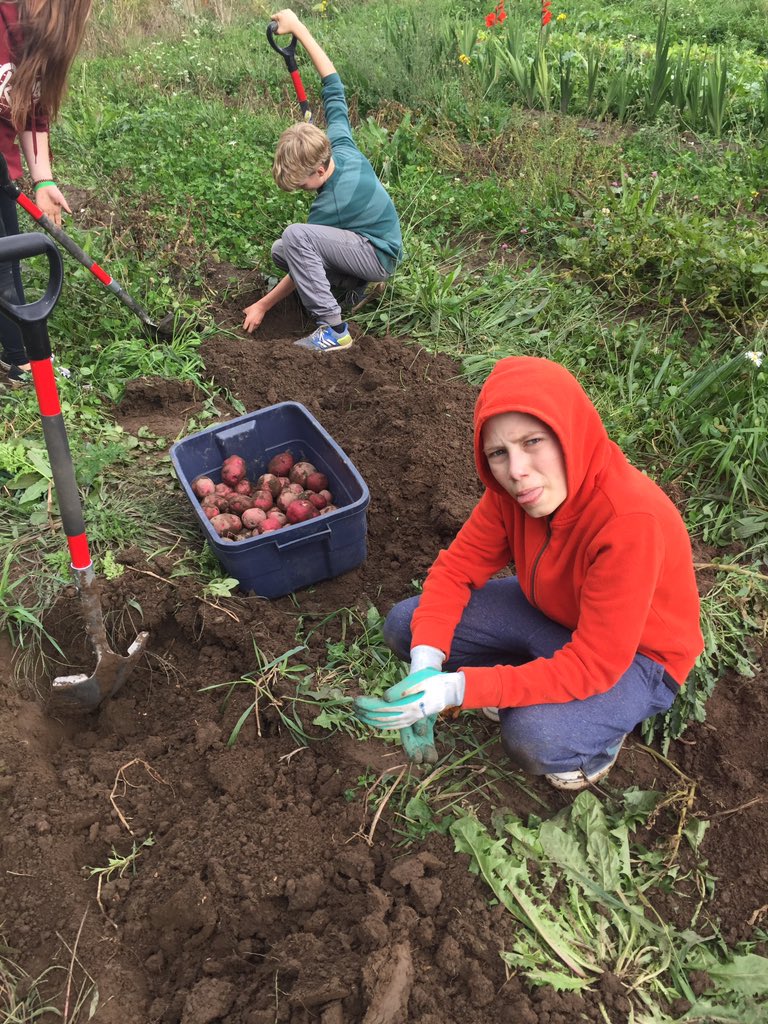 evodarek's tweet photo. We learned so much about agriculture, how math is used everywhere on the farm, how to do sustained physical labour and that farmers even work through storms! #farmgym #marvelousmath #sustainableagriculture #stewardsoftheland #justalittlewet @LionsOvalPS @eSSTteam @BassLakeFarms https://t.co/5gL2wPYvap