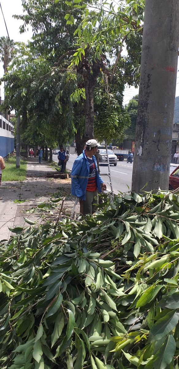 DefenssaCapital's tweet photo. Este día atendimos a la solicitud de Poda Preventiva ante esta época de lluvia en 9a Calle Poniente #950, Centro de Gobierno, del Distrito I.
#SSInteligente
#Smart912SS https://t.co/TXEFJFAiHy