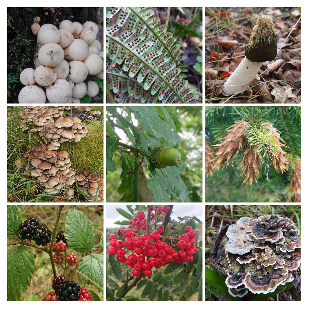 ELothianOutdoorLearn tweet media