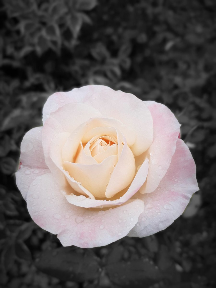 simon james howes (@simonjameshowes) on Twitter photo 