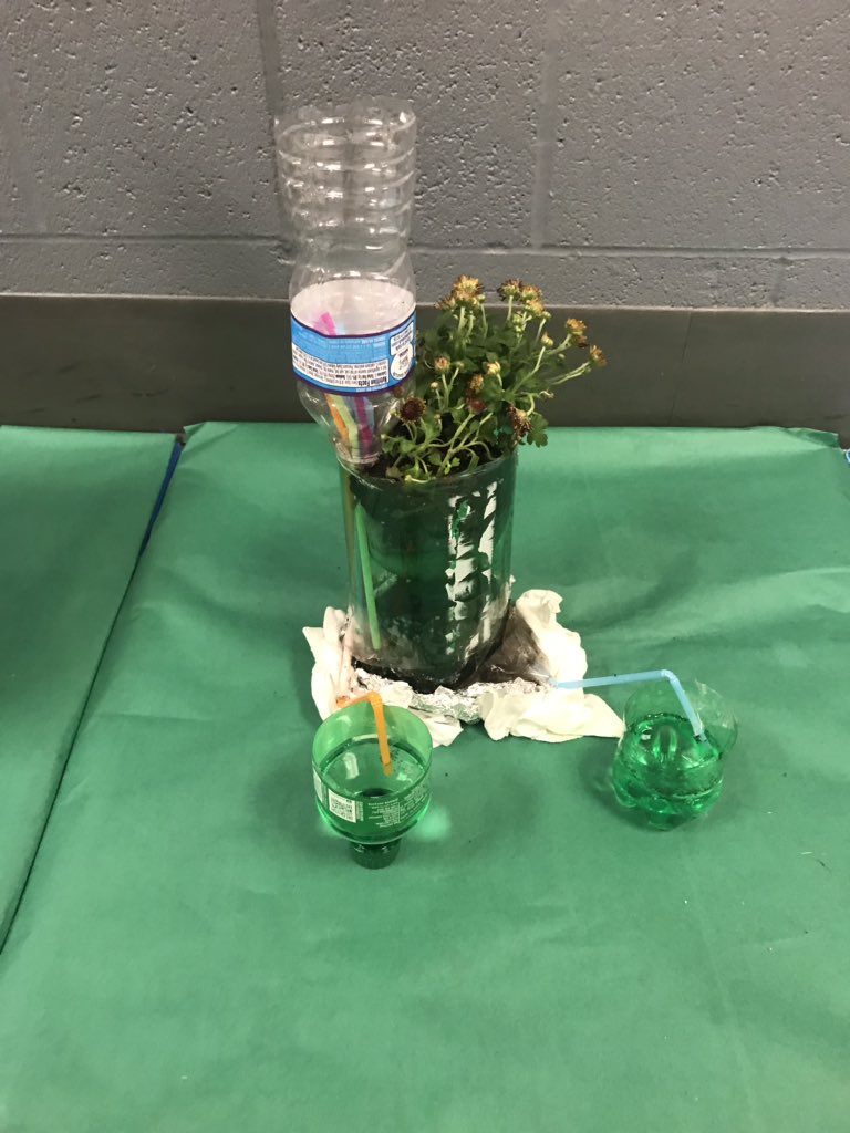 Getting ready for Cardboard Challenge family night. Our urban gardens look amazing! <a href="/JAE_stem/">JackAndersonElemSTEM</a>