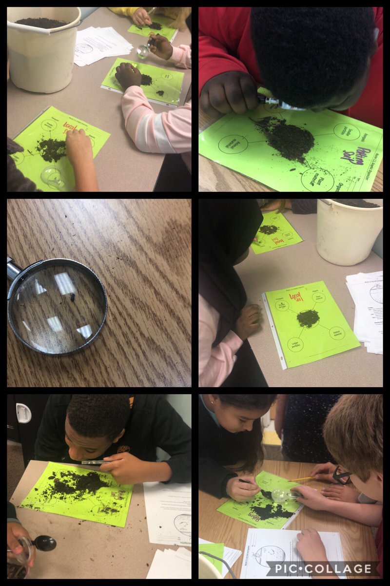 FosterMissi's tweet photo. Analyzing soil samples 🤓🐜🍂🔍#sixthgradescientists #soilhorizons https://t.co/Wz3KefKbxw