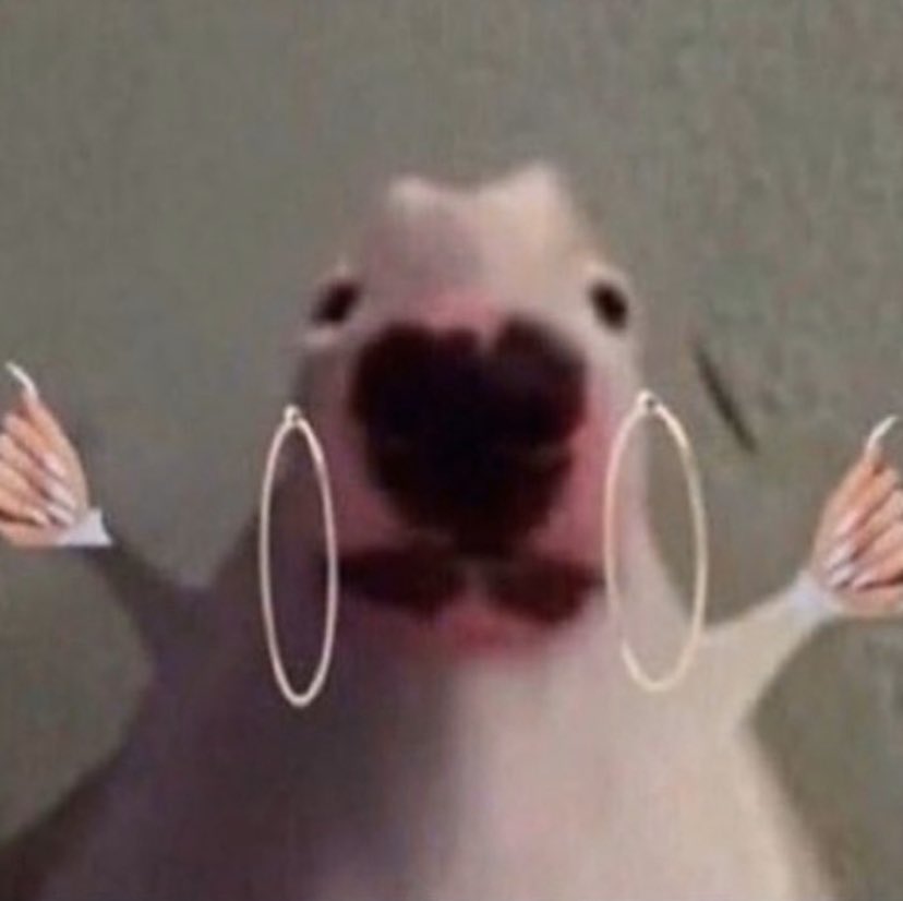 intoxicatingisa's tweet photo. think i look cute ? you should see me in my lab coat 😳🤯🙈 https://t.co/IiHFe4pYKq