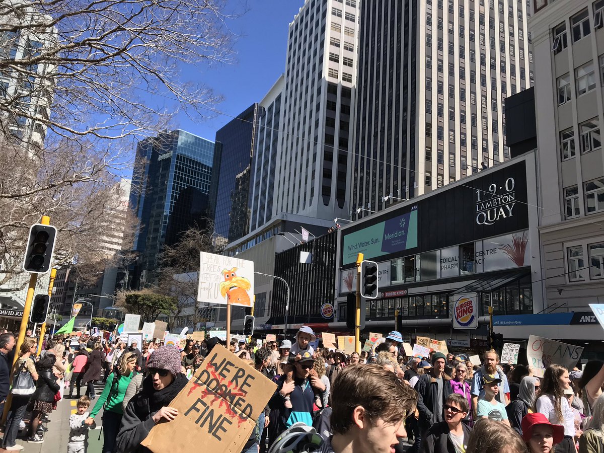 brabakimb's tweet photo. Wellington coming out in droves for the Global #ClimateStrike at forty-thousand strong 🌏#ClimateWeek2019 #1o5C #ClimateJustice https://t.co/dmh10mm8j6