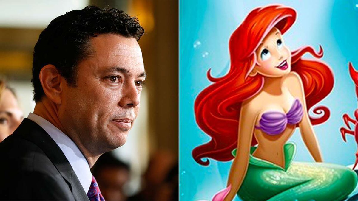 InsideTheMagic's tweet image. Jason Chaffetz aces Fox News’ “The Little Mermaid” quiz #JasonChaffetz #TheLittleMermaid #FoxNews 

bit.ly/2m9Sckh