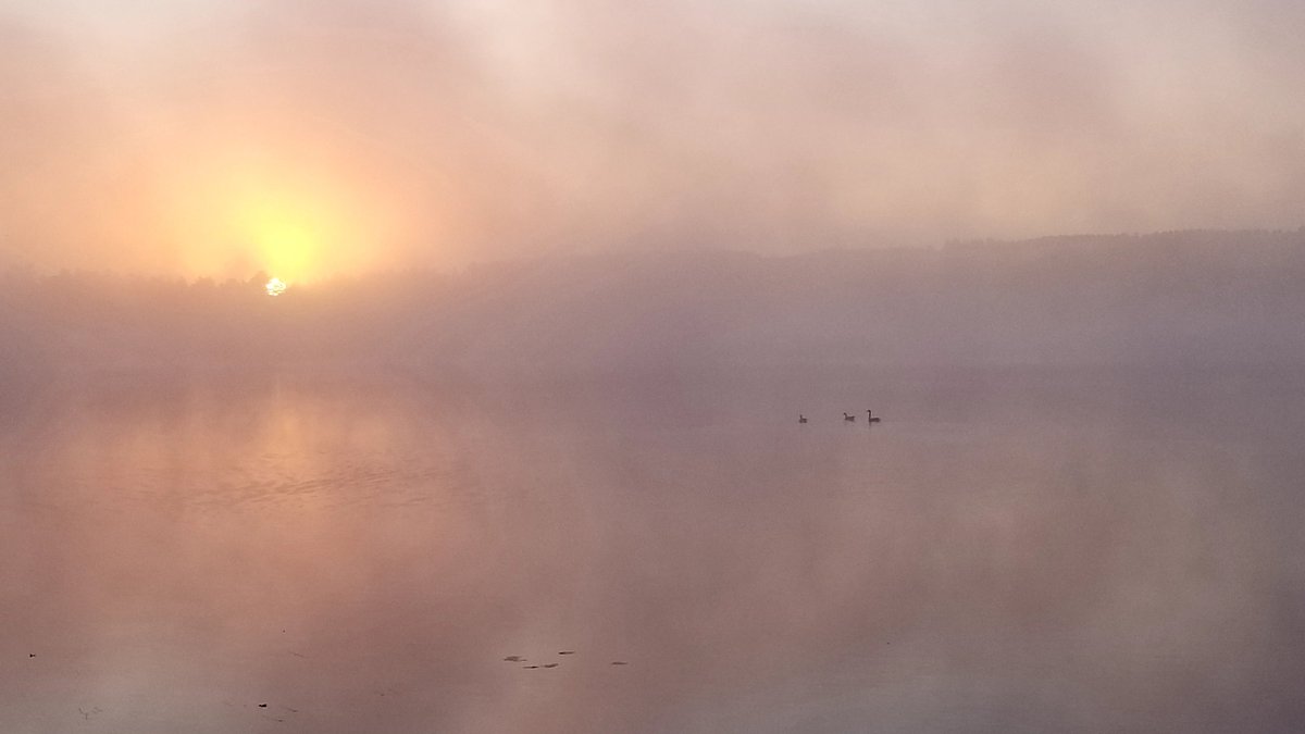 jszczyrb's tweet image. Today the lake was barely perceptible through the thick morning fog. As the sun began to peek through the clouds, the shadows on the distant shore and the reflections over the water soon emerged. #beautifulsunrise
#thankingmyCreator #Heisgood #HisCreationrevealsHisgoodness