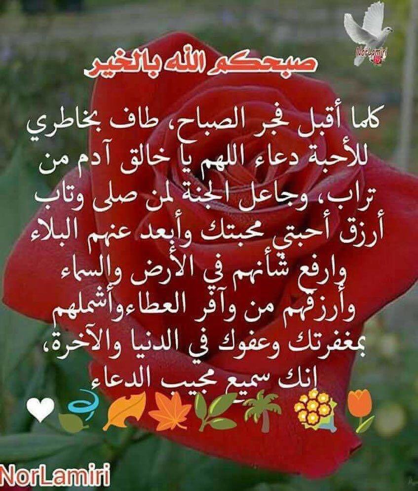 um salem (@umumsalem60) on Twitter photo 