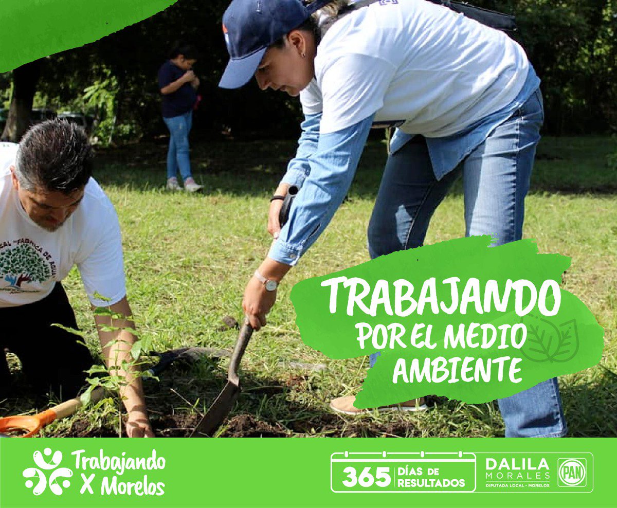 ¡Morelos no puede seguir perdiendo sus áreas verdes y fauna endémica! Con tu apoyo hemos podido combatir la contaminación, nuestra meta es traer de vuelta nuestros bellos paisajes para brindar un futuro más próspero a nuestros hijos.🌱#DecisionesQueTomé #365DíasDeResultados
