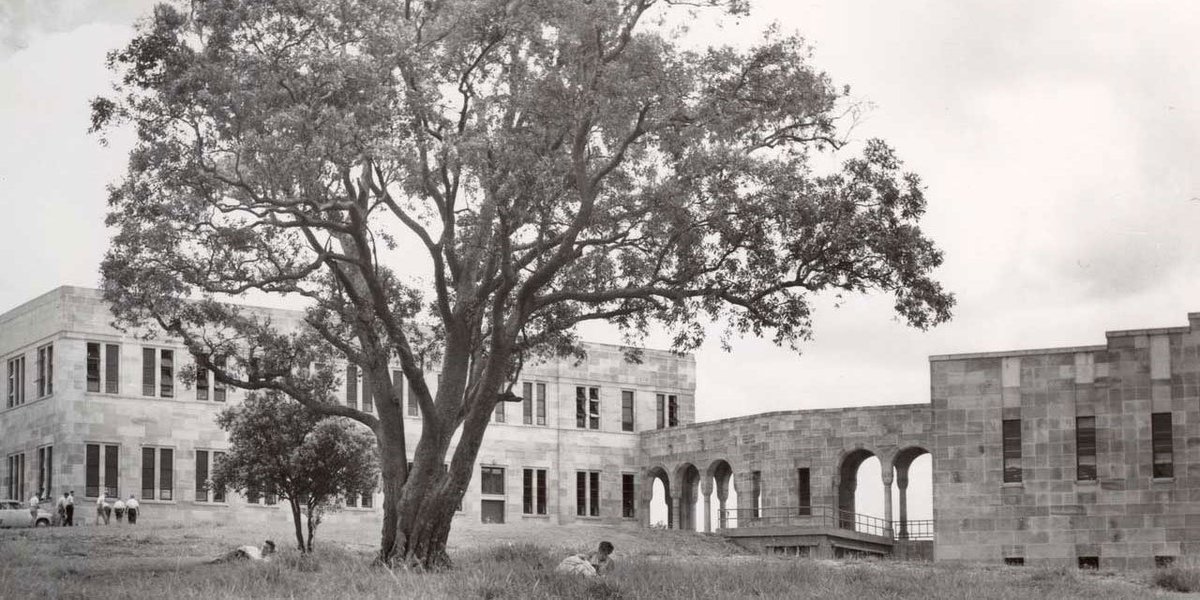 UQ_Library's tweet photo. Looking for something interesting to read? Check out our new digital story ‘Photography in Fryer’ about some of our amazing #photographiccollections! https://t.co/8iRPAg0yvJ #specialcollections #UQLibrary #UQ #FryerLibrary https://t.co/ISBRCwhR2C