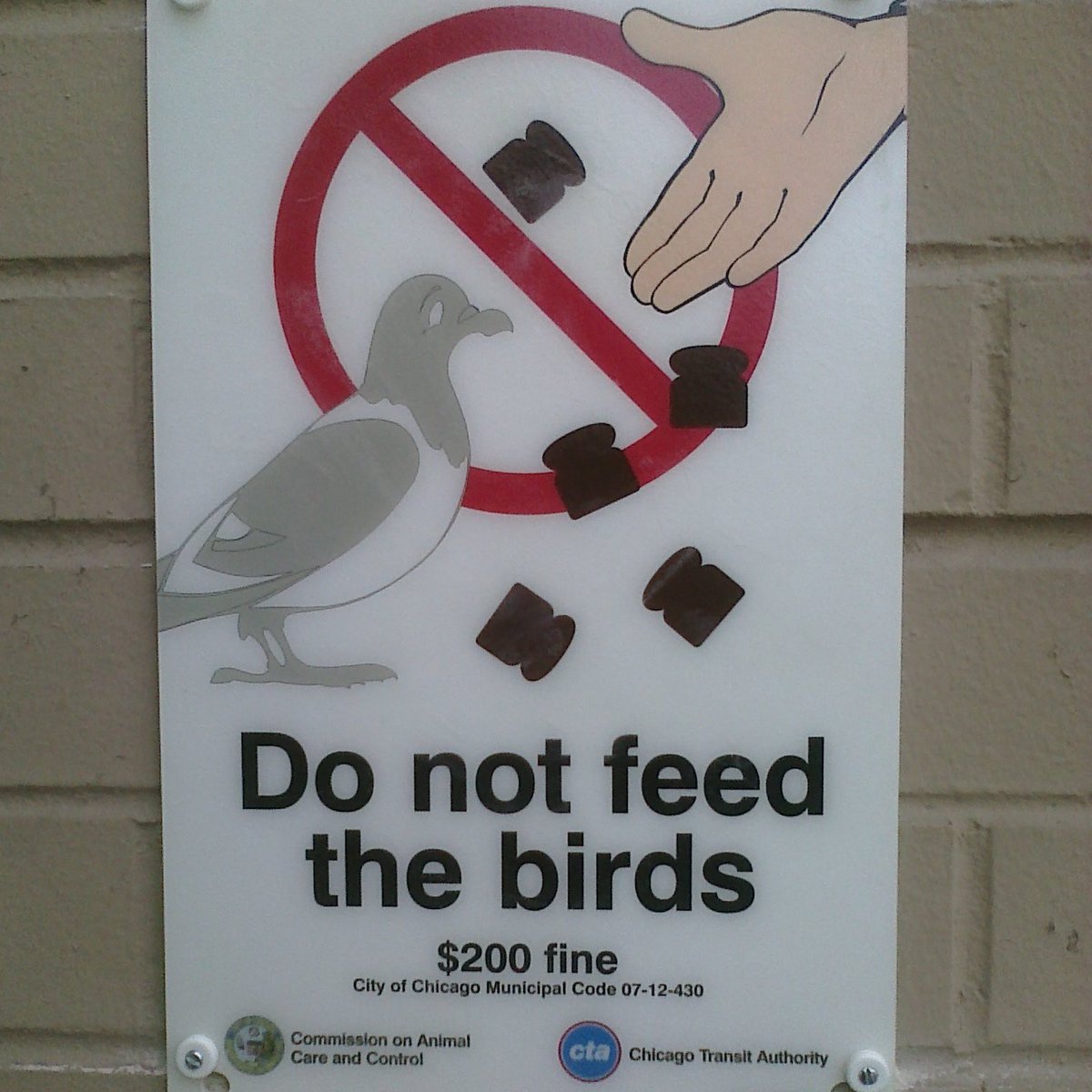 ProBirdRights's tweet image. THE GREATEST SCAM IN THE HISTORY OF AMERICAN POLITICS!