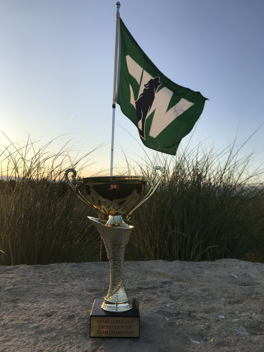BVSWdistance's tweet photo. Day 34 (*69) - Canis Lupus Cup
We hosted an amazingly fun race with 10 JV/C-teams boys and girls teams competing together for one Champion!
For the first time in the 4 years of this event BVSW are your Champions! Boys & Girls earned it! #wolfpackrunning https://t.co/SdPoo6BTQP